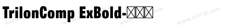 TrilonComp ExBold字体转换